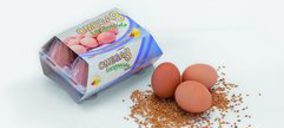 Huevos Monterde construye una nueva nave