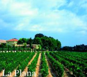 Bodegas Torres, la más valorada de Europa