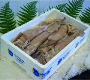 Vía libre a la liquidación de Pescados Paco