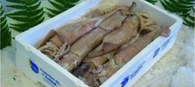 Vía libre a la liquidación de Pescados Paco