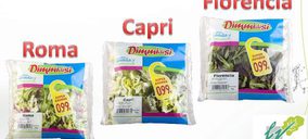 Dimmidisí ofrece ensaladas a un euro