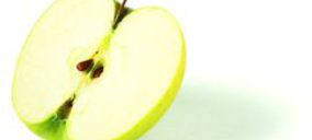 Giropoma superará los 20 M en 2012