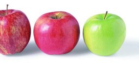 Girona Fruits eleva la inversión destinada a sus cámaras de conservación