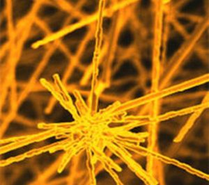 Los nanomateriales doblarán su tamaño