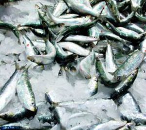 Aucosa elevó un 30% las ventas de pescado congelado
