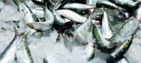 Aucosa elevó un 30% las ventas de pescado congelado