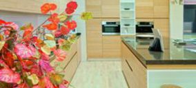 Bossia, declarada en concurso