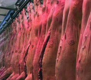 Carnicosa invierte en ampliaciones y mejoras de su matadero