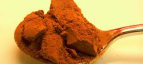 Olam toma una participación mayoritaria en Macao