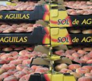 Urcisol estudia incorporar nuevas frutas a su catálogo