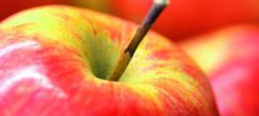 Manzana: En busca de nuevas oportunidades