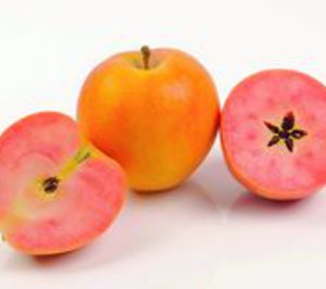 Impulso para la manzana de pulpa roja