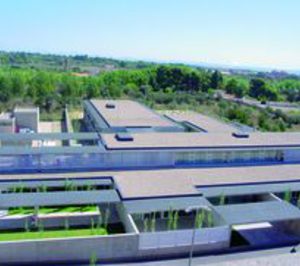 Salud mental sigue demandando nuevos recursos complementarios