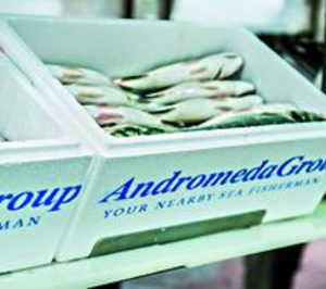 El grupo Andrómeda ejecuta cambios en su arquitectura empresarial y productiva