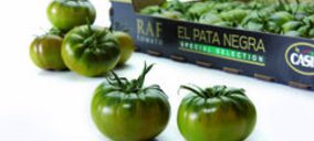 Casi inicia la campaña de venta online del tomate raf