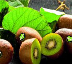 Feito y Toyosa prevé ampliar sus instalaciones en 2013