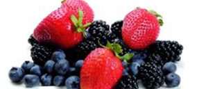 Fresas y berries:Un mercado de exportación