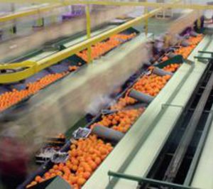 Las negociaciones de Frutas Kiko Huelva con su plantilla, estancadas