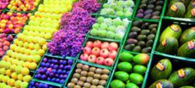 Euro Pool pone en marcha un centro de multiservicios