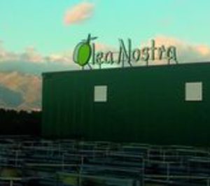 Olea Nostra avanza en su proyecto de ampliación y mejora de instalaciones