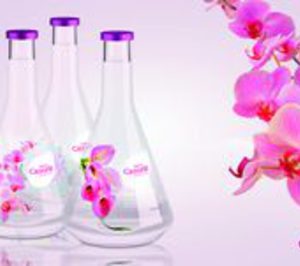 La administración concursal quiere reflotar ‘Sierra de Cazorla’