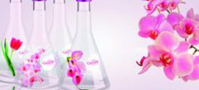 La administración concursal quiere reflotar ‘Sierra de Cazorla’