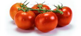 Única Group espera incrementar su volumen esta campaña