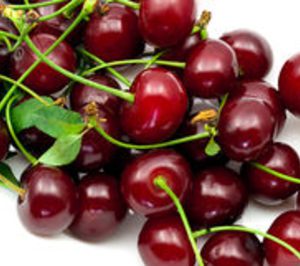 Valle del Jerte invierte en sus instalaciones