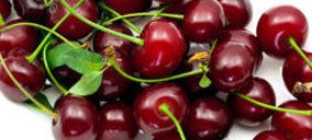 Valle del Jerte invierte en sus instalaciones