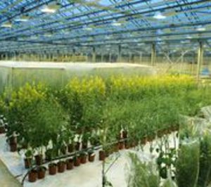 Bayer CropScience acerca a los productores agrícolas a Fruit Logistica