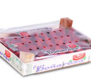 Surexport busca nuevos mercados exteriores para sus berries