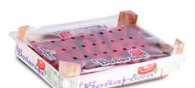 Surexport busca nuevos mercados exteriores para sus berries