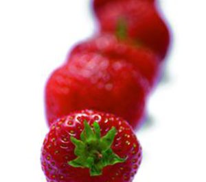 Moguer Cuna de Platero avanza en su ampliación