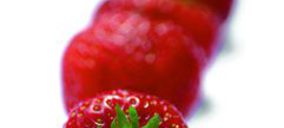 Moguer Cuna de Platero avanza en su ampliación