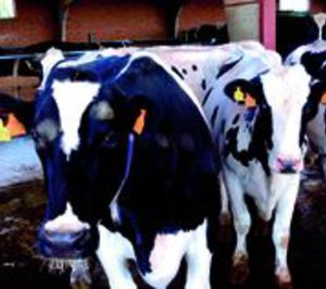 Capsa se suma a los Lácteos Sostenibles