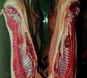 Eurocentro de Carnes proyecta una nueva ampliación