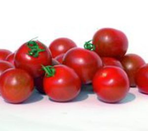 Cofruits abandona la sección de tomate para industria