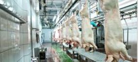 Friselva impulsa sus ventas, especialmente gracias a las exportaciones