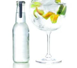 Destilados y mixers premium: El dominio del gin tonic