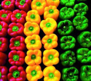 Luz verde para la integración de Ejidoluz en Agroiris