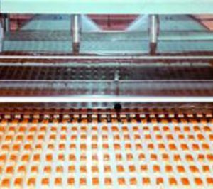  EE.UU., destino estratégico para Natra