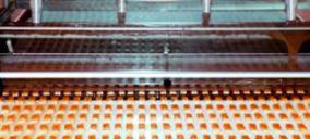  EE.UU., destino estratégico para Natra