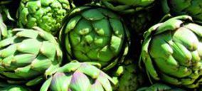 Alimer revisa su plan inversor mientras continúa su crecimiento