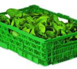 Vegetales Línea Verde firma un acuerdo con IFCO Systems