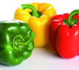 Ejidomar redujo sus ventas en 2012