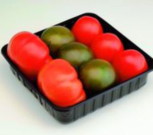 Única Group lanza en España su línea Tomate Time