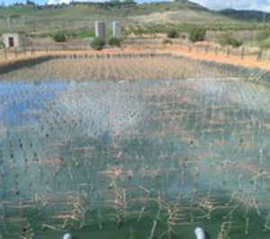 González Byass instala una depuradora en Chinchón