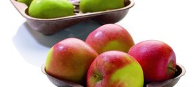 Linpac monta una planta de envases en Bielorrusia