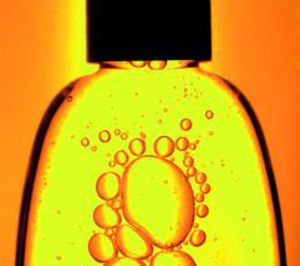 Duarte y Beltrán prevé un nuevo incremento en sus ventas de 2013