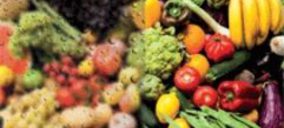 Sealed Air presenta un nuevo film antivaho